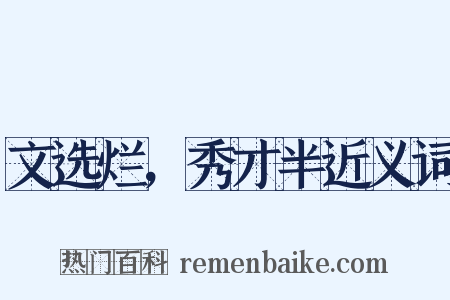 文选烂，秀才半近义词是什么意思的图片
